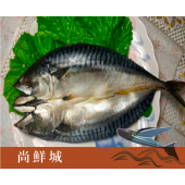 【尚鮮城】挪威大鯖魚一夜干