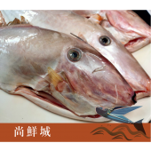 【尚鮮城】嚴選鮮凍超大剝皮魚(500g)