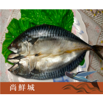 【尚鮮城】挪威大鯖魚一夜干