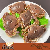 【尚鮮城】台灣特選生凍黃金母蟹(7-8隻)