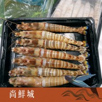 活凍斑節蝦(明蝦)(約7-8隻)
