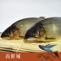 宜蘭大公香魚(單支裝)