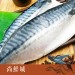 【尚鮮城】正挪威鯖魚片(190g)